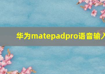 华为matepadpro语音输入