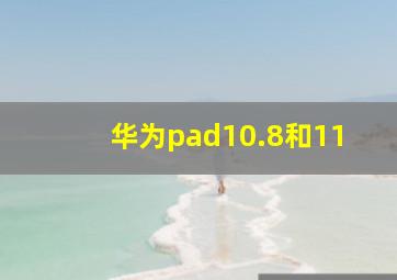 华为pad10.8和11