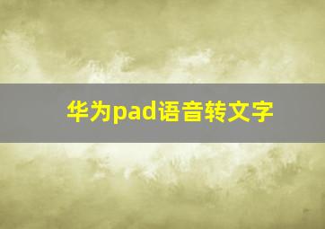 华为pad语音转文字