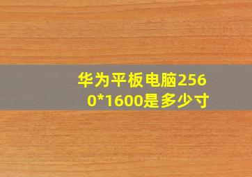 华为平板电脑2560*1600是多少寸