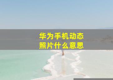 华为手机动态照片什么意思