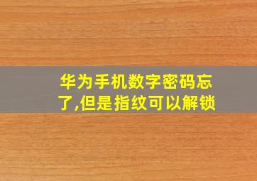 华为手机数字密码忘了,但是指纹可以解锁