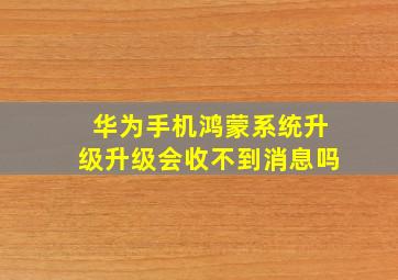 华为手机鸿蒙系统升级升级会收不到消息吗