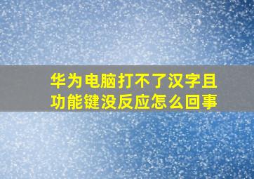 华为电脑打不了汉字且功能键没反应怎么回事