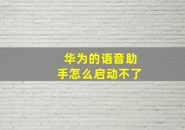 华为的语音助手怎么启动不了