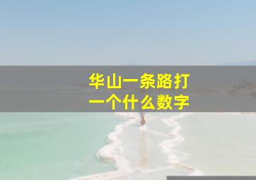 华山一条路打一个什么数字