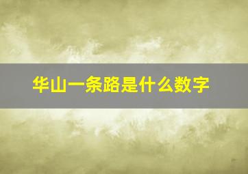 华山一条路是什么数字