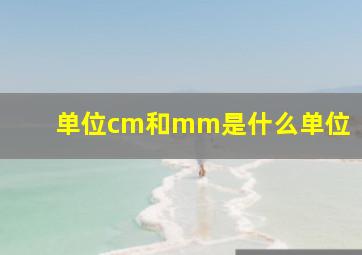 单位cm和mm是什么单位