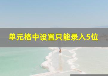 单元格中设置只能录入5位