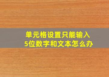 单元格设置只能输入5位数字和文本怎么办