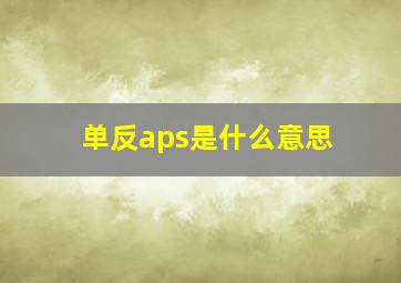 单反aps是什么意思