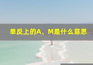 单反上的A、M是什么意思