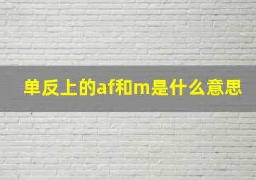 单反上的af和m是什么意思