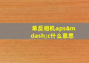 单反相机aps—c什么意思