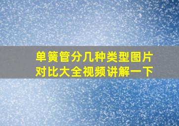 单簧管分几种类型图片对比大全视频讲解一下