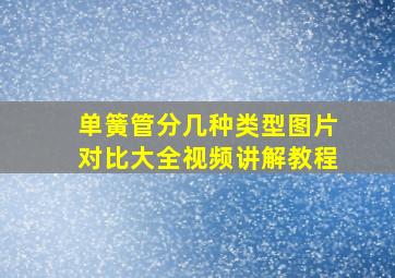 单簧管分几种类型图片对比大全视频讲解教程