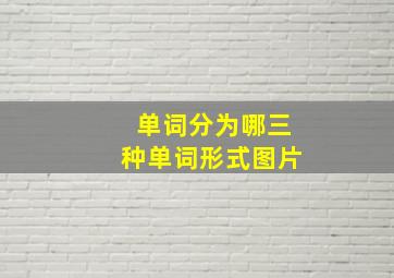 单词分为哪三种单词形式图片