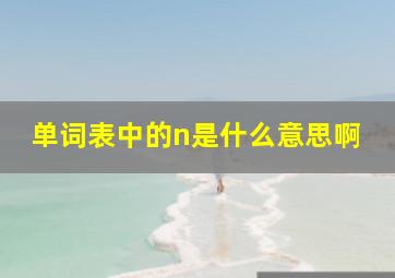 单词表中的n是什么意思啊