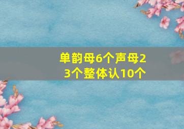 单韵母6个声母23个整体认10个