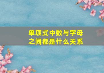 单项式中数与字母之间都是什么关系