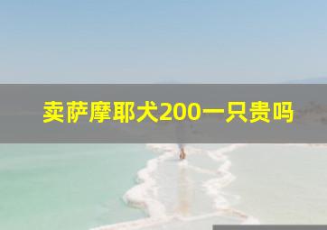 卖萨摩耶犬200一只贵吗