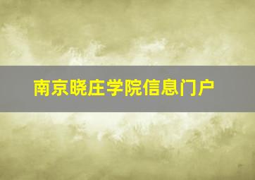 南京晓庄学院信息门户