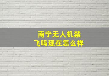 南宁无人机禁飞吗现在怎么样