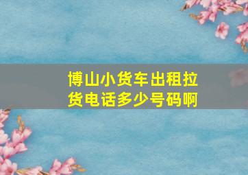 博山小货车出租拉货电话多少号码啊