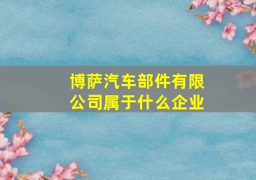 博萨汽车部件有限公司属于什么企业