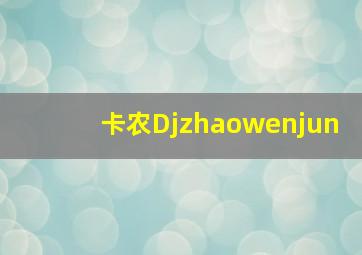 卡农Djzhaowenjun