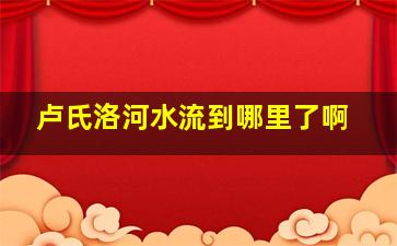 卢氏洛河水流到哪里了啊