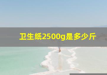 卫生纸2500g是多少斤