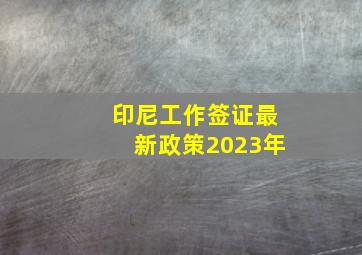 印尼工作签证最新政策2023年