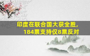 印度在联合国大获全胜,184票支持仅8票反对