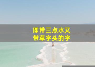 即带三点水又带草字头的字