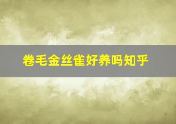 卷毛金丝雀好养吗知乎