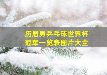 历届男乒乓球世界杯冠军一览表图片大全