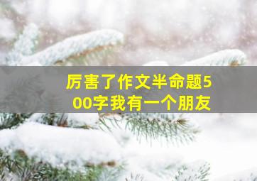 厉害了作文半命题500字我有一个朋友