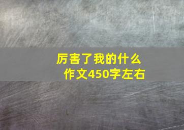 厉害了我的什么作文450字左右