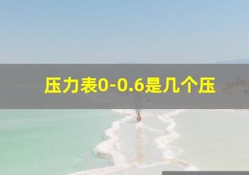 压力表0-0.6是几个压