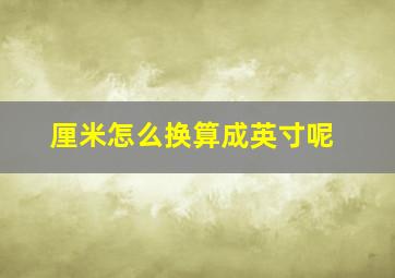 厘米怎么换算成英寸呢