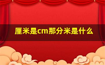 厘米是cm那分米是什么