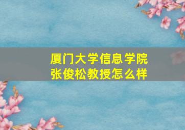 厦门大学信息学院张俊松教授怎么样