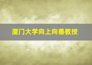 厦门大学向上向善教授