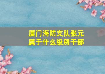 厦门海防支队张元属于什么级别干部