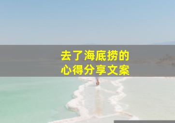 去了海底捞的心得分享文案