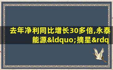 去年净利同比增长30多倍,永泰能源“摘星”