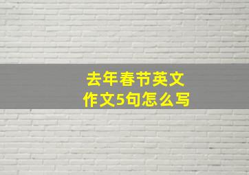 去年春节英文作文5句怎么写