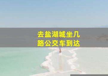 去盐湖城坐几路公交车到达