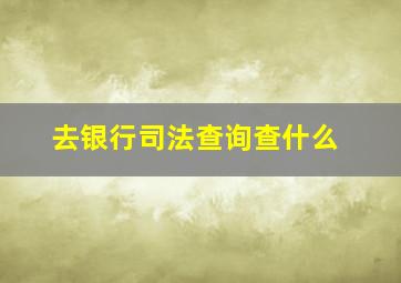 去银行司法查询查什么